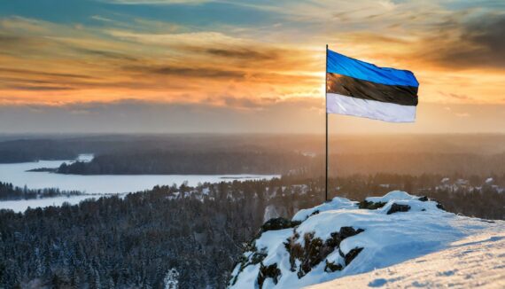 The Flag of Estonia On The Mountain.